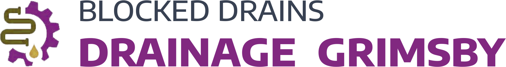 website logo